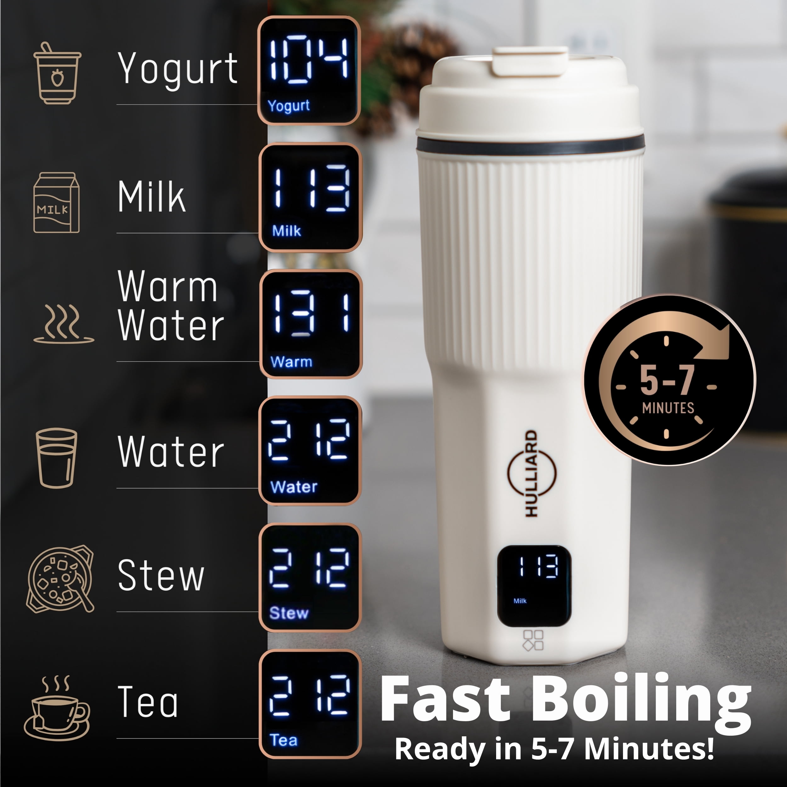 Travel Electric Kettle - 316 Stainless Steel, Portable Tea Kettle & Water Heater, 450ml Portable Water Boiler, 6 Temperature Settings, Auto Shut-off, Universal Voltage (100-240V)
