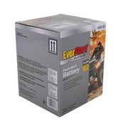 EverStart EBX14AH-BS AGM Dry PowerSport 12 Volt Battery