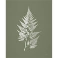 thumbnail image 2 of Great Art Now True Green VIII by Katie Pertiet, Framed Wall Art, 18W x 22H, 2 of 3