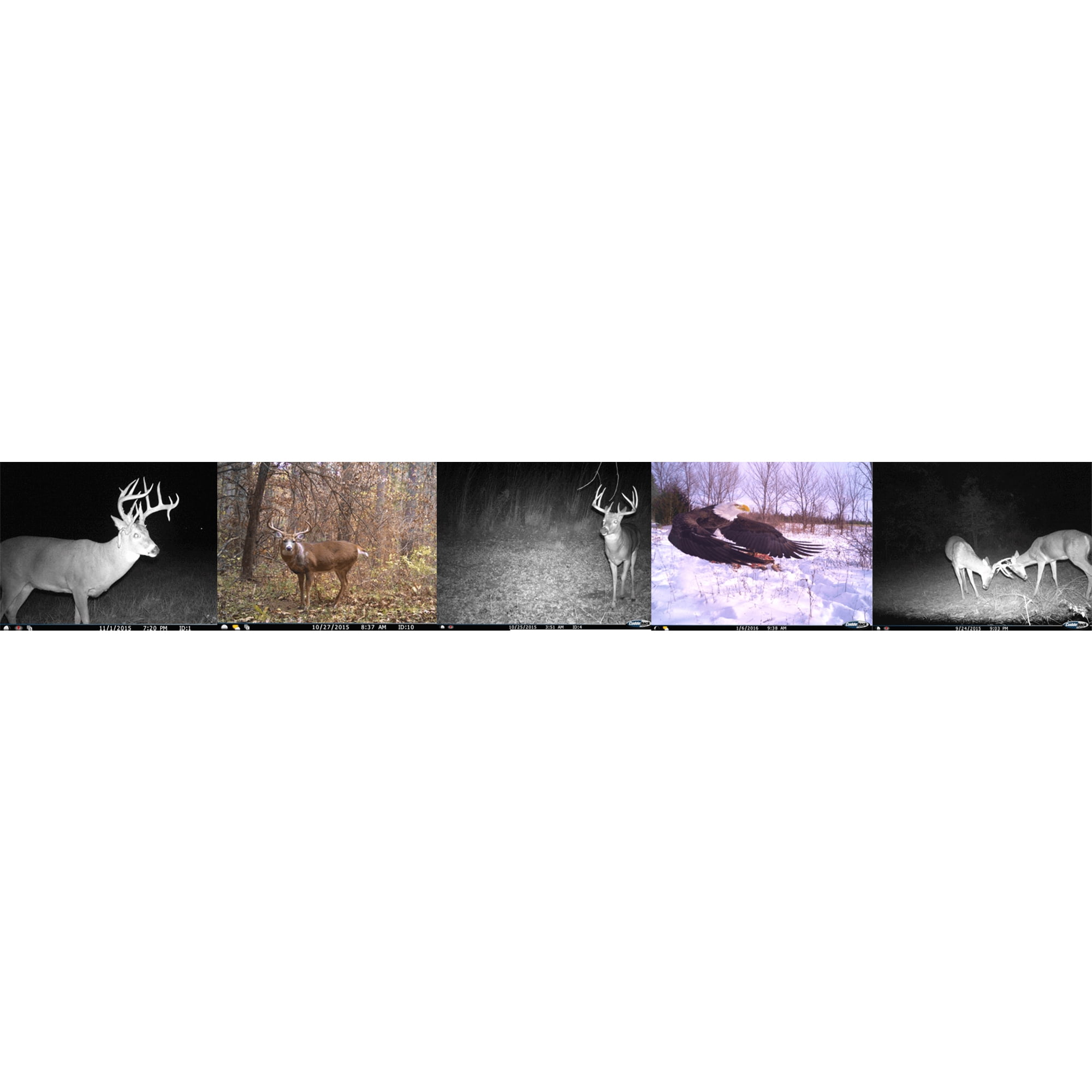 Cuddeback CuddeLink Power House 20 Megapixel Wireless Network Trail Game Camera