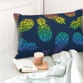 thumbnail image 6 of Kll Abstract Bright Pineapple Fruit Retro Pillow Covers Envelope Closure,Super Soft And Cozy Fuzzy Fleece Pillow Case Cover 16"X24", 6 of 9