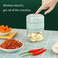 Ptlom Electric Mini Garlic Chopper, Food Slicer And Mini Food Processor
