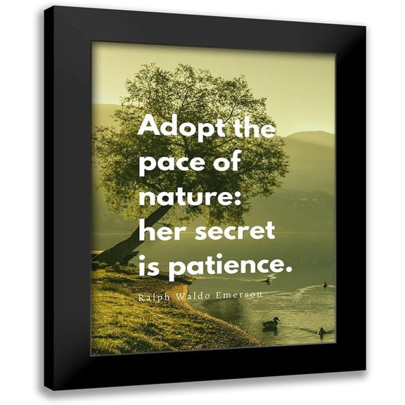 ArtsyQuotes 12x14 Black Modern Framed Museum Art Print Titled - Ralph Waldo Emerson Quote: Adopt the Pace