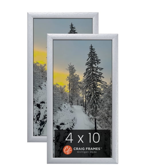 Craig Frames 23247018 4 x 10 Inch Picture Frame, Brushed Silver, Set of 2