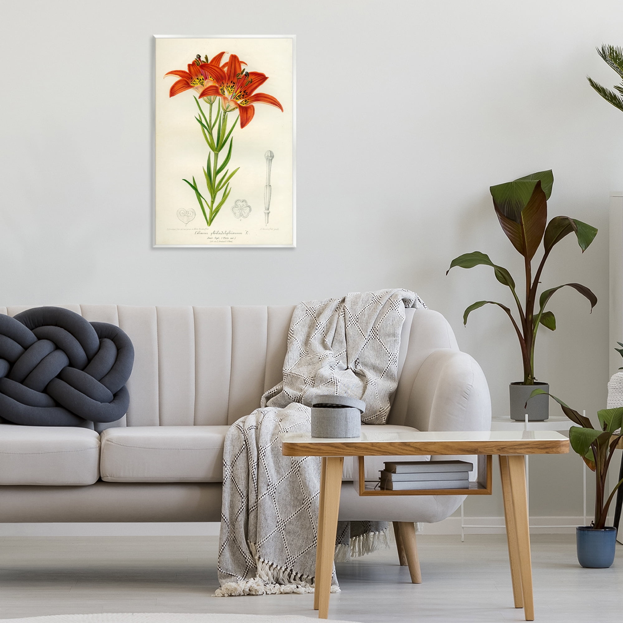 Stupell Industries Western Red Lily Wall Plaque Art, design by Print Collection