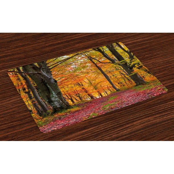 Autumn Placemats Set of 4 Fall Forest with Shady Deciduous Trees and ...