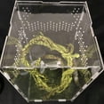 thumbnail image 5 of Breeding Case Reptiles Clear Feeding Box Good Ventilation Acrylic Habitat for Centipedes Spiders Snake, 5 of 8