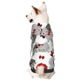 thumbnail image 1 of Fotbe Rabbit And Hedgehog Sudadera con Estampado para Perros Pequeños – Suéter con Capucha para Mascotas, Tela Suave de Forro Polar con Bolsillo-XX-Large, 1 of 7