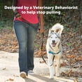 thumbnail image 3 of Arnés para perros PetSafe Easy Walk Deluxe No Pull Rose M/L, 3 of 7