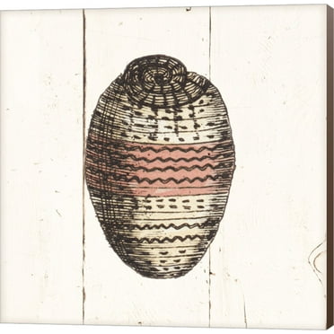 Shell Sketches IV Shiplap by Wild Apple Portfolio, Canvas Wall Art