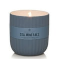 thumbnail image 2 of Chesapeake Bay Candle Scented Candle, Sea Minerals, Medium Jar with Natural Essential Oils, Minimalist Collection, 2 of 5