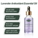 thumbnail image 5 of Aceite de masaje Essence Hidratante Hidratante Fina y Reafirmante Piel Facial Suaviza y Embellece la Piel 60ml a essence, 5 of 9