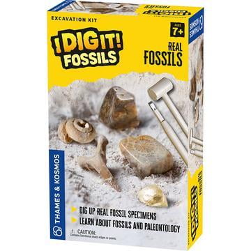 I Dig It! Excava Fósiles Thames & Kosmos 630461