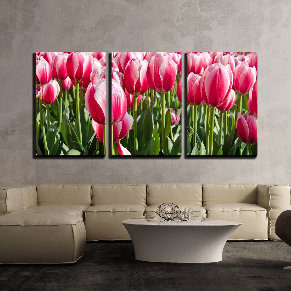 Wall26 3 Piece Canvas Wall Art Bright Colored Tulips on a Meadow in
