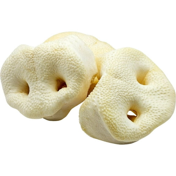 The Treat Shack 3 to 4-in Pork Snouts Natural Dog Chew Treats, 5CT