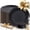 Black and Gold Frosted Plastic Dinner Plates, variant on 150pcs Green Heavy Duty Disposable Plastic Plates, Fancy Dinnerware Set for Parties, Picnics, Birthdays, Weddings, Afternoon Tea, Spring Events, Soccer Games, Outdoor Gatherings