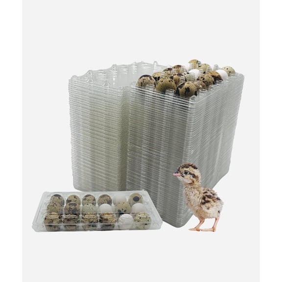50 Pcs Quail Egg Cartons 18 Grids Small Egg Storage Holders