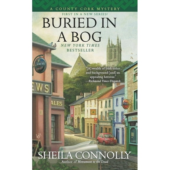 County Cork Mystery Buried in a Bog, Book 1, (Paperback)