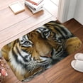 thumbnail image 5 of 1pc Tiger Pattern Absorbent Non-Slip Bathroom Thickened Flannel Rug Decor,Soft,Quick Drying,Suitable For Indoor/outdoor Use,Bathrooms,Bedrooms,Kitchens,Terrace,Laundry Rooms,16"x24", 5 of 9