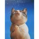 thumbnail image 1 of Taladro de pintura de diamante (DE6779) 5D DIY gato rezando diamante redondo completo 45x60cm Hugtrwg Para estrenar, 1 of 1