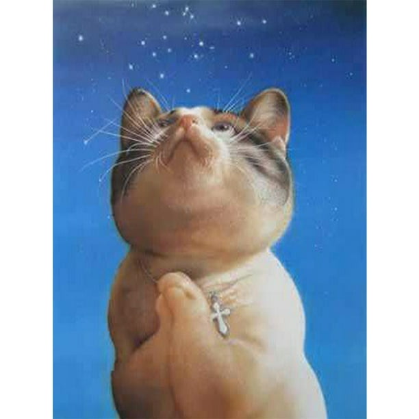 Taladro de pintura de diamante (DE6779) 5D DIY gato rezando diamante redondo completo 45x60cm Hugtrwg Para estrenar