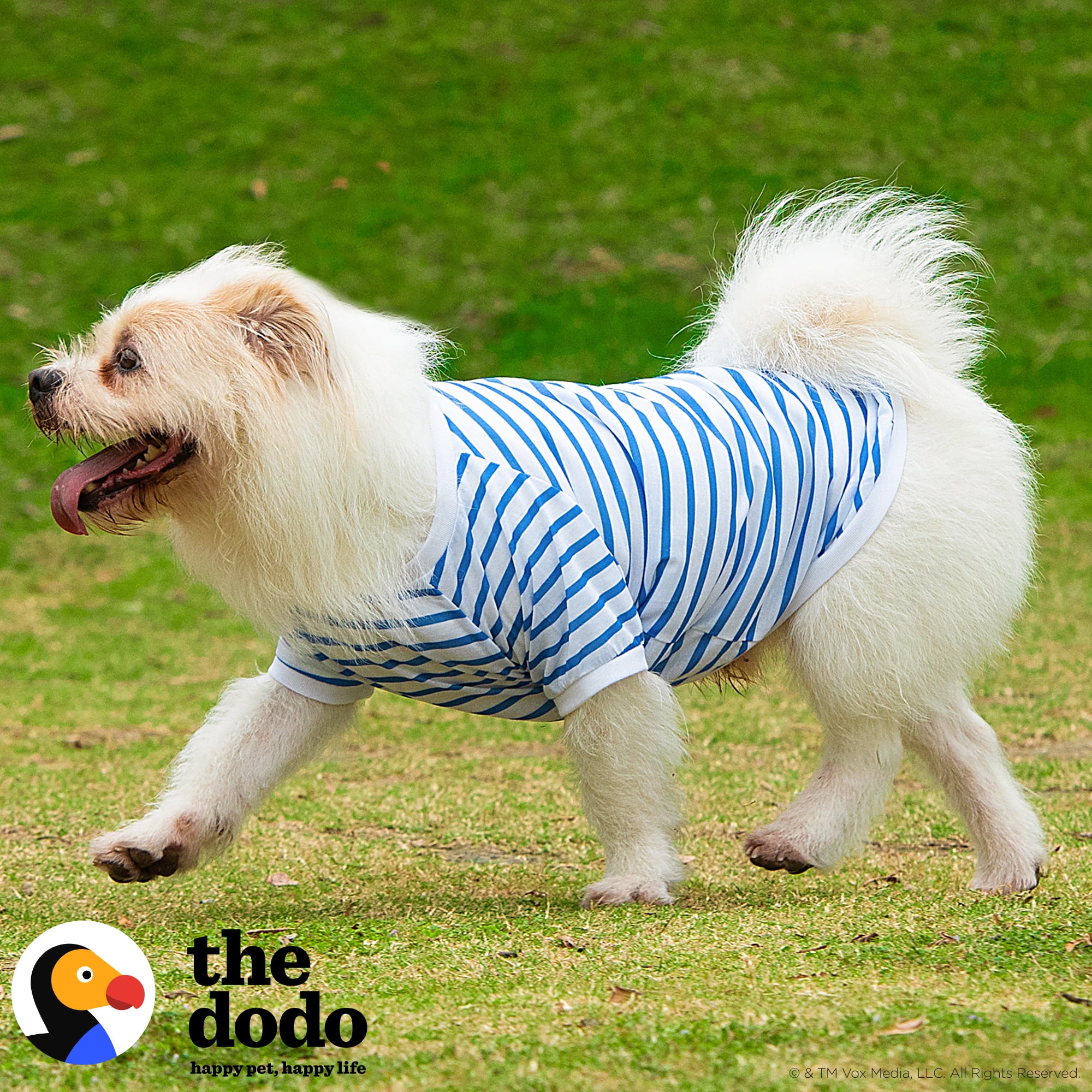 The Dodo Blue and White Striped T-Shirt for Dogs - Small