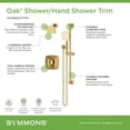 thumbnail image 6 of Symmons S5698MB15TRM Oak Shower Only Trim Package - Black, 6 of 7