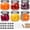 24-02000-001-FBA, variant on 16oz Wide Mouth Glass Mason Jars 12 Pack, 480ml Canning Jars with Airtight Lids, Perfect for Salad, Meal Prep, Preserving, Pickling, Jam, Honey