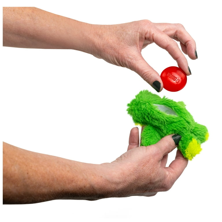 KONG® Dr.Noyz Dog Toy with Squeaker, Frog, XS for Dogs Up to 5 lbs