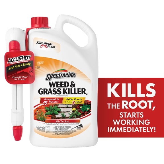 Spectracide Weed & Grass Killer with AccuShot Sprayer, 1 Gallon