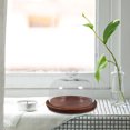 thumbnail image 6 of Nishuna Glass Dome Wood Tray Cake Storage Holder Dessert Display Wood Plate Cupcake Plate, 6 of 6