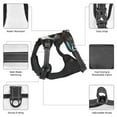 thumbnail image 6 of Sigee Playful Smile Cute Dog for Adjustable Dog Harness for Small Medium Large Dogs,No Pull, Reflective, Breathable for Walking, Jogging-Large, 6 of 6