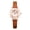 Brown, variant on Women's Petal Shape Watch: Roman Numeral Hour Marker Lether Band Dress Wistwatch - Casual Business