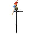 thumbnail image 1 of Lámpara solar de loro - Iluminación solar para jardín, terraza, césped, patio, entrada - Resina sólida, lámparas de pájaros de bajo consumo - Decoraciones de animales con LED blancos, 1 of 4