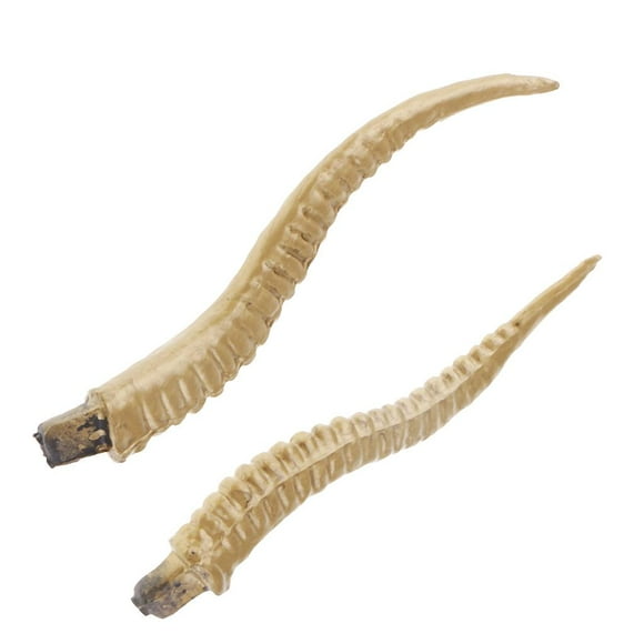 Cuernos de Antílope de Plástico, Disfraces de Halloween, Disfraz, Diadema para Cosplay, Piezas Oro CUTICAT Coleccionable decorativo