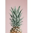 thumbnail image 2 of 1x Studio III 23x32 Black Ornate Wood Framed with Double Matting Museum Art Print Titled - Pineapple Pink 02, 2 of 4
