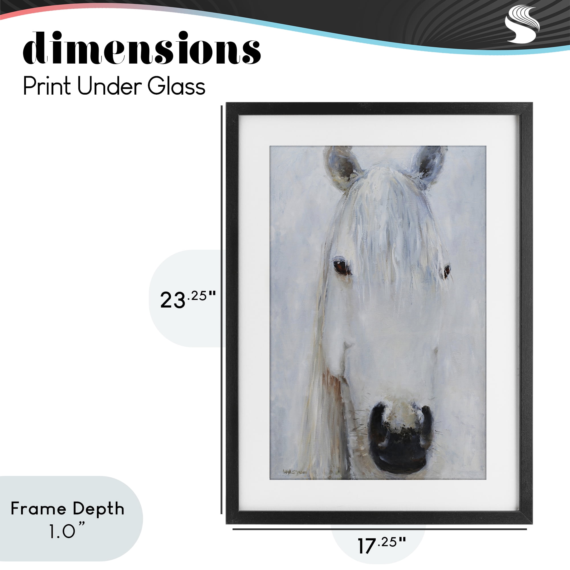 Stupell Industries Pure White Horse Portrait Black Framed Print Under Glass, design by Jadei Graphics
