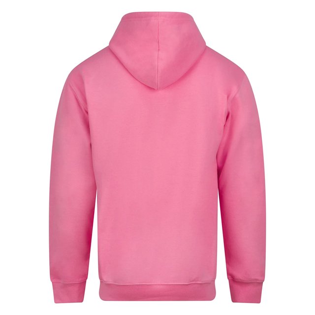 Awdis Adult College Hoodie