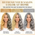 thumbnail image 4 of Joyful Young Hair Dye Shampoo 3-in-1, Silver Blonde Semi-Permanent Gray Hair Coverage, Color Depositing Shampoo for Women & Men, Vegan Ammonia-Free, 4 of 8