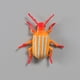 thumbnail image 5 of Nehlobo Paquete de 12 modelos de insectos simulados, ciempiés, escorpiones, arañas, escarabajos, modelos de animales salvajes, adornos de juguetes para niños - Paquete de 12 insectos, 5 of 7