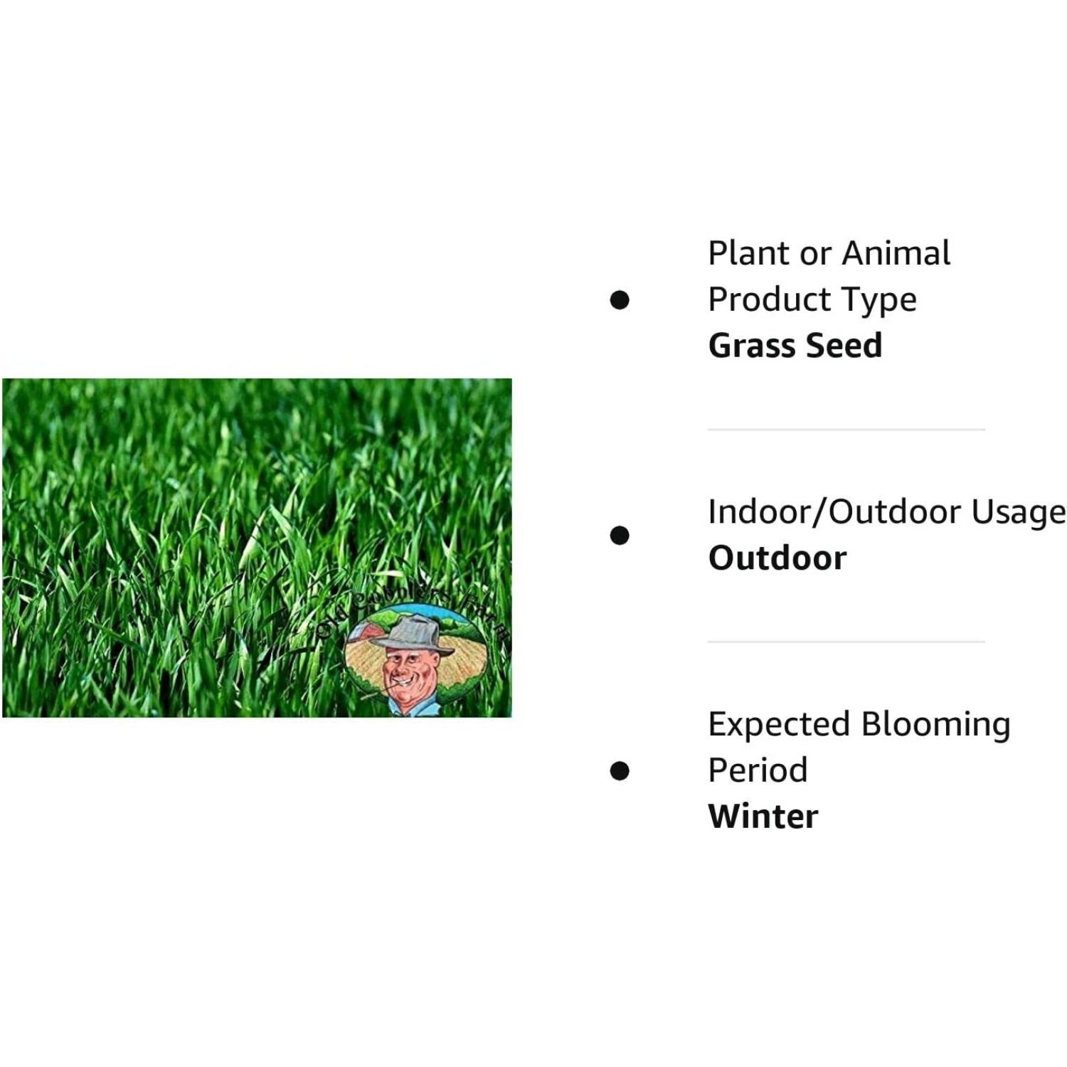 FulnKye Rye Grass Seed for Lawn Fast Growing Winter Grass Seed