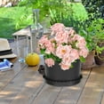 thumbnail image 6 of Raindrops  Terracotta Plant Pots Black Currant Multiple Use Flower with Tray, 6 of 8