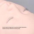 thumbnail image 4 of Cabeza De Maniquí De Pestañas, Hombro De Cabeza De Maniquí Cosmético De Doble Pestaña De Masaje De Alta Resistencia Para Salón, 4 of 7