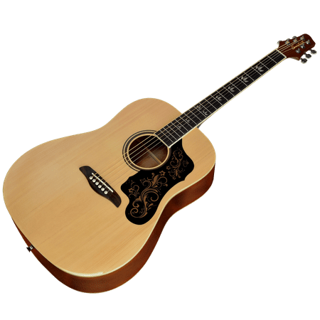 Sawtooth Dreadnought Folk Acoustic Guitar with D'Addario Strings, Chromecast Stand, Picks, Capo, Strap, Case, Music Lessons and Spanish Pickguard