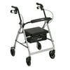 Drive Medical Rollator Rolling Walker with 6" Wheels, Fold Up Removable Back Support and Padded Seat, Silver