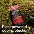 thumbnail image 4 of Every Man Jack Cedarwood Amber Aluminum-Free Deodorant for Men, Naturally Derived, 3 oz, 4 of 11