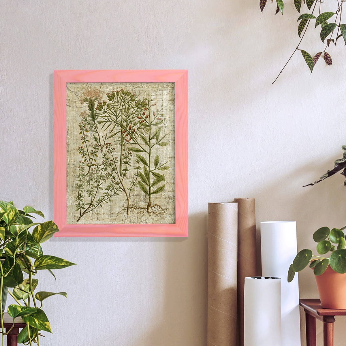 Garden Verses I -Framed Print w/glass-Sunset Pink