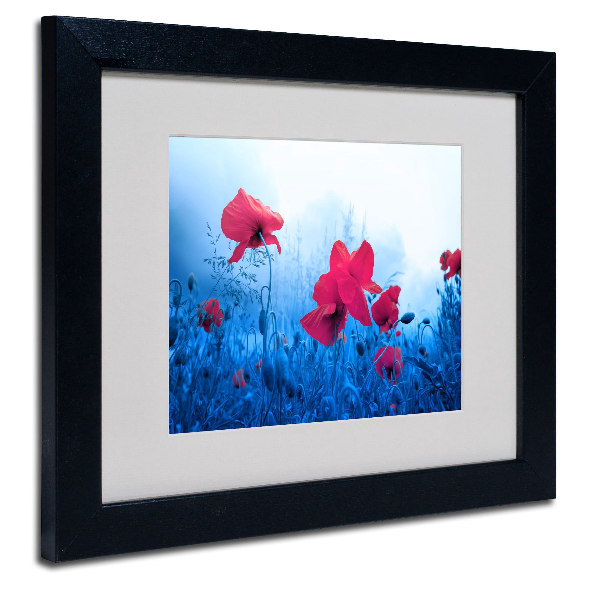Trademark Fine Art "Jam for Poppies" Canvas Art by Philippe Sainte-Laudy, Black Frame