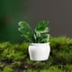 thumbnail image 2 of Adornos de escritorio Poaug en oferta, liquidación, accesorios para casas de muñecas, macetas, flores y plantas, plantas verdes, modelos de plantas en miniatura, adornos de jardinería terminados., 2 of 2