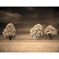 thumbnail image 2 of Szilagyi, Ily 14x12 White Modern Wood Framed Museum Art Print Titled - Together and Alone II, 2 of 4